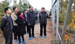 陕西咸阳最新爆料,揭秘咸阳历史文化新发现